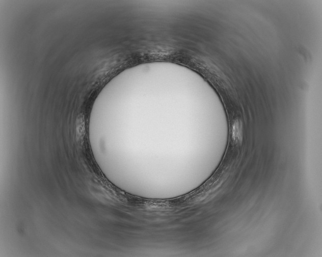 X0000110911299200907091428