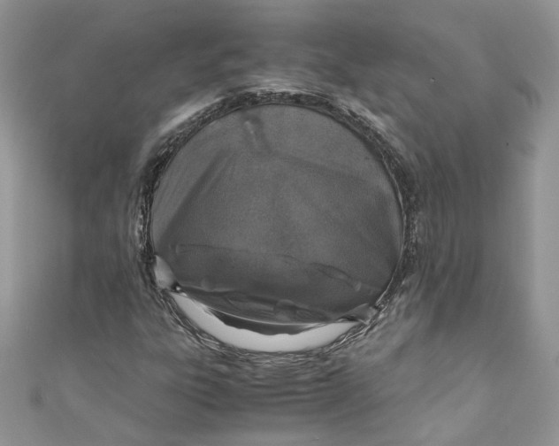 X0000110911303200907091428