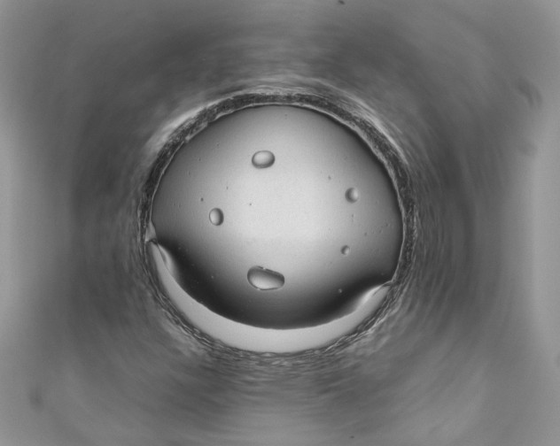 X0000110911304200907091428