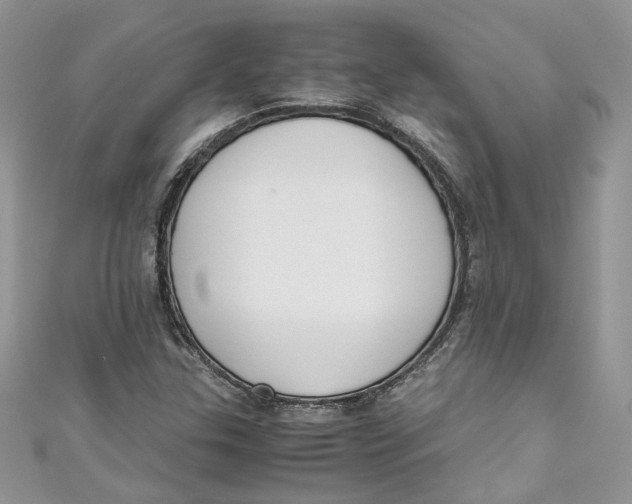 X0000110911307200907091428