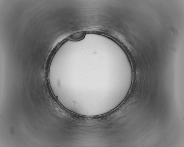 X0000110911308200907091428