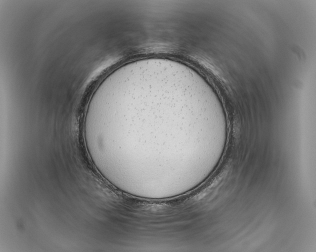 X0000110911309200907091428