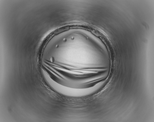 X0000110911310200907091428