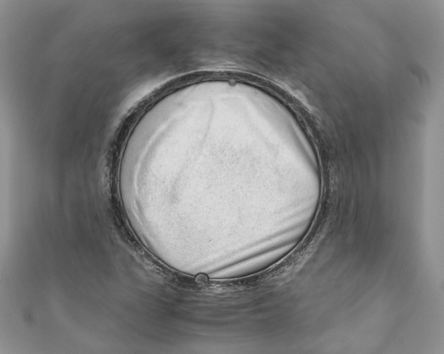 X0000110911311200907091428