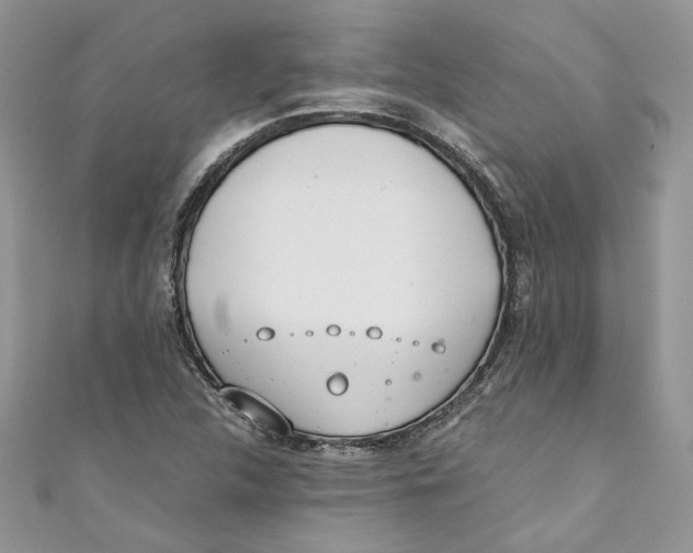 X0000110911312200907091428