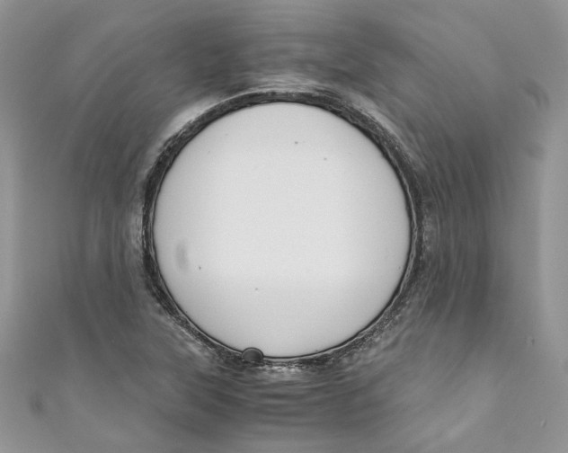 X0000110911315200907091428