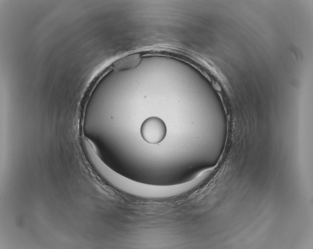 X0000110911316200907091428