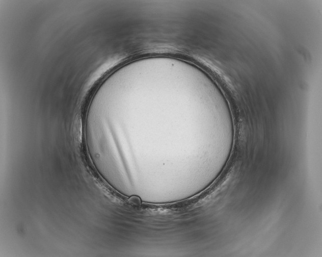 X0000110911317200907091428