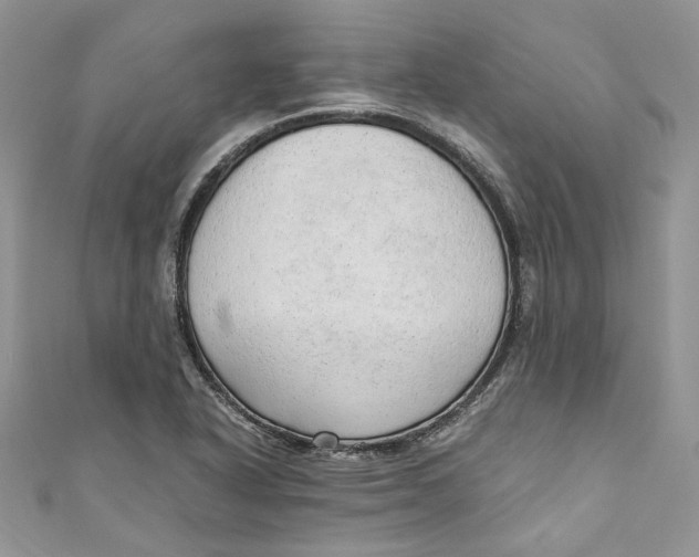 X0000110911318200907091428