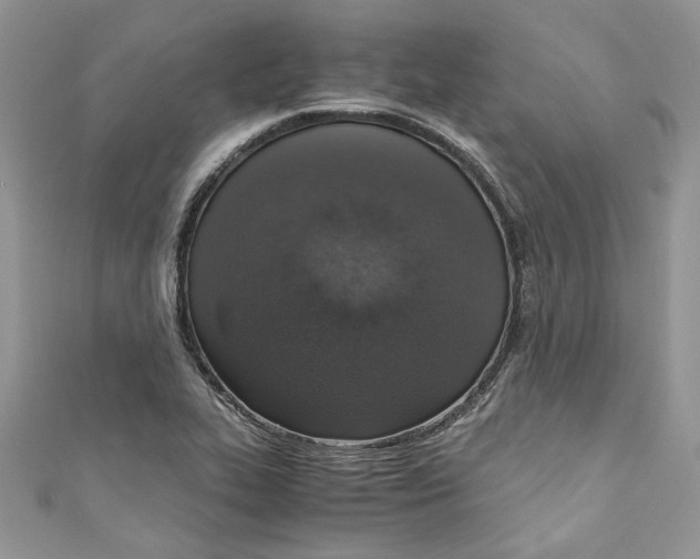 X0000110911319200907091428