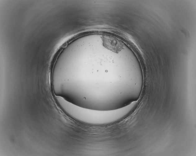 X0000110911320200907091428