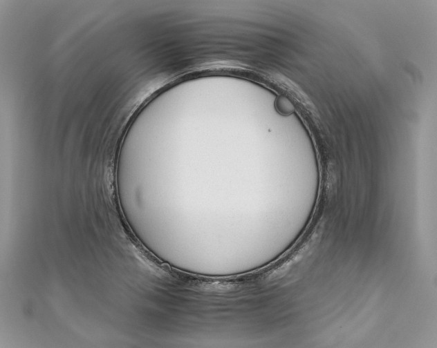 X0000110911321200907091428