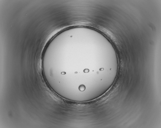 X0000110911324200907091428