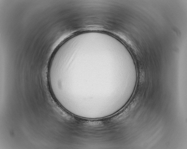 X0000110911325200907091428