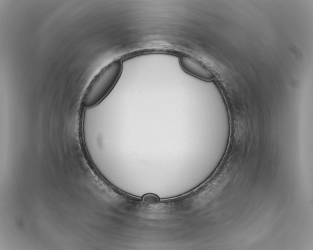 X0000110911326200907091428