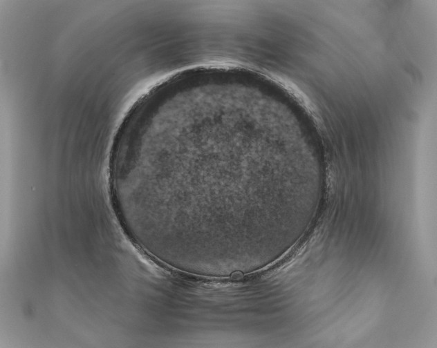 X0000110911327200907091428