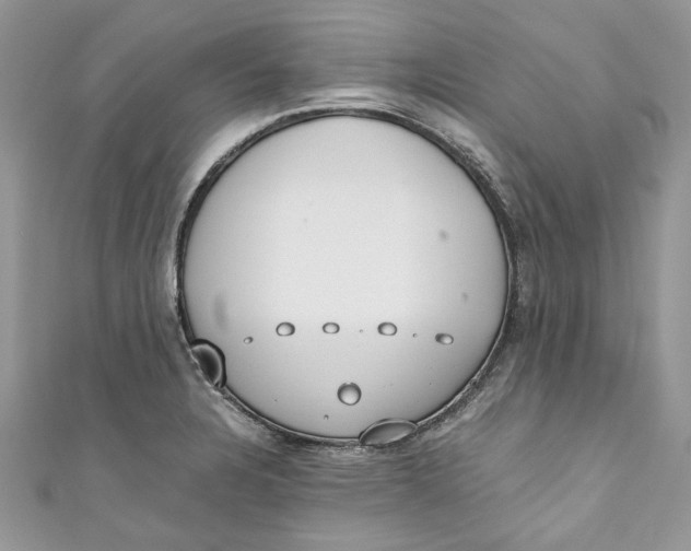 X0000110911328200907091428