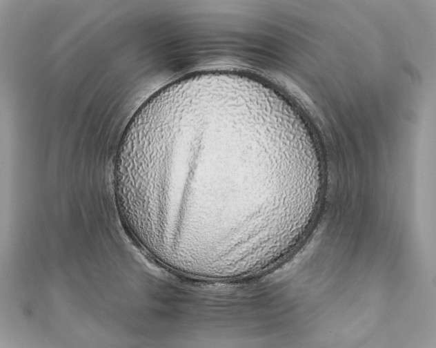 X0000110911329200907091428