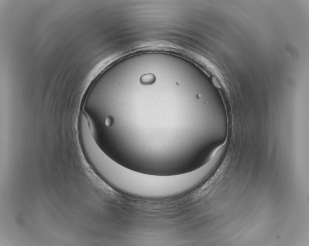 X0000110911330200907091428