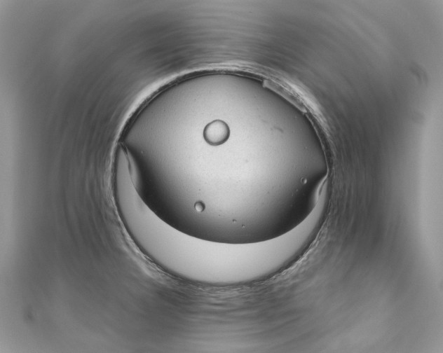 X0000110911332200907091428