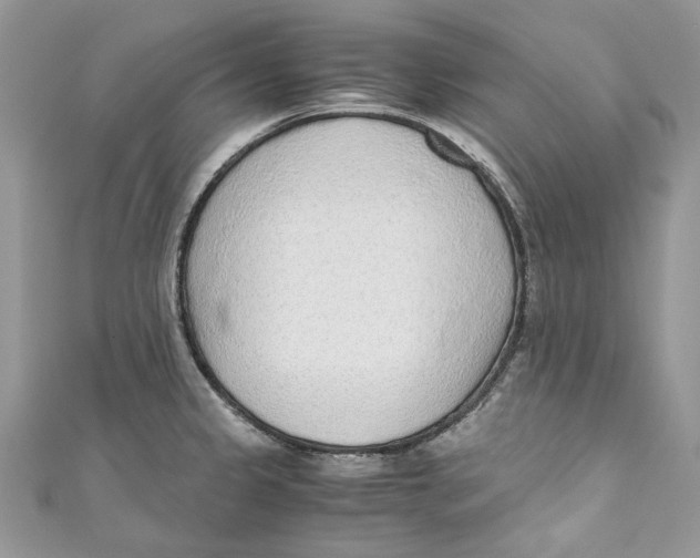 X0000110911333200907091428