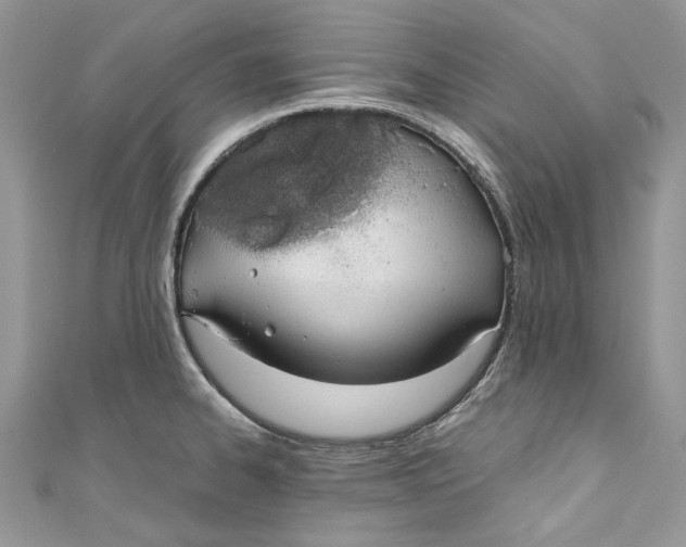 X0000110911334200907091428