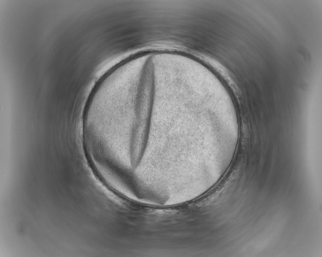 X0000110911335200907091428