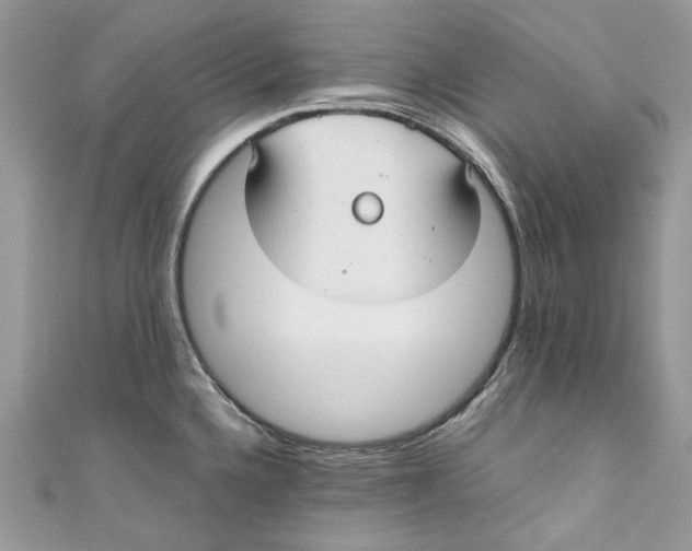 X0000110911336200907091428