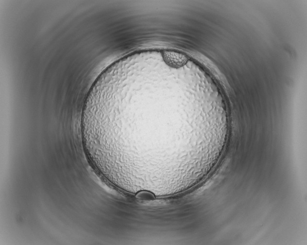 X0000110911337200907091428