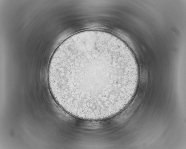 X0000110911338200907091428