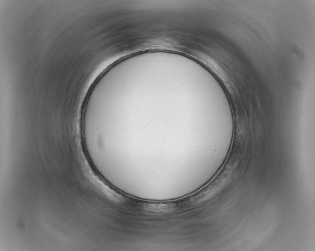 X0000110911339200907091428