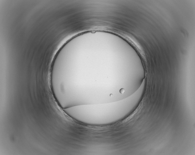 X0000110911340200907091428