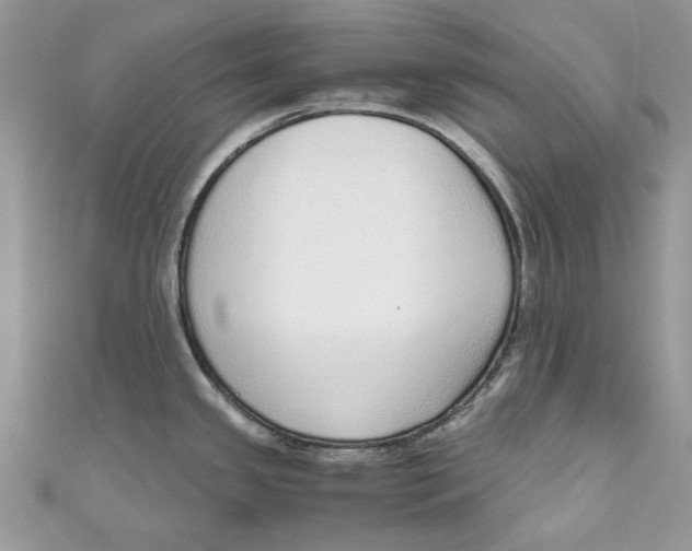 X0000110911341200907091428