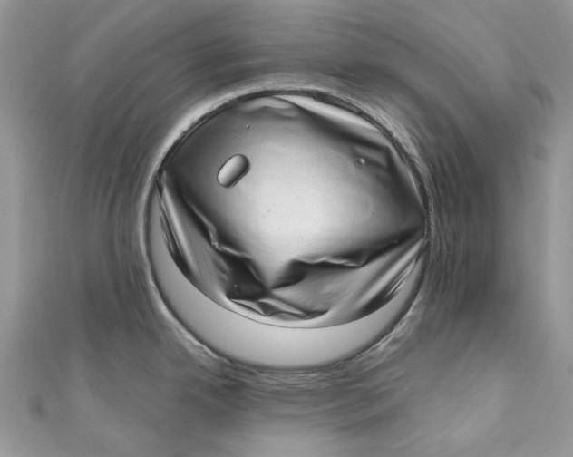 X0000110911342200907091428