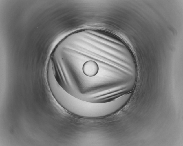 X0000110911344200907091428