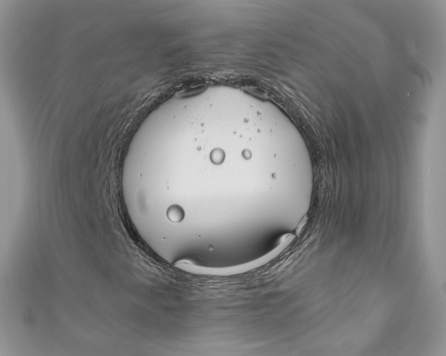 X0000110911345200907091428