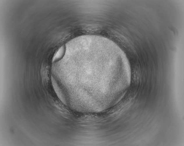 X0000110911346200907091428