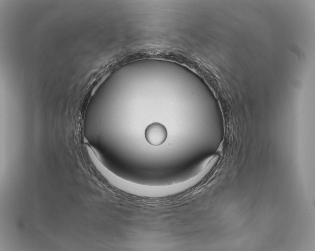 X0000110911349200907091428