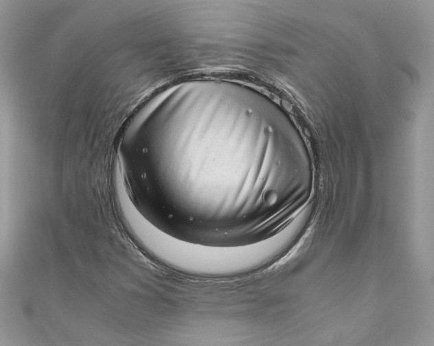 X0000110911353200907091428