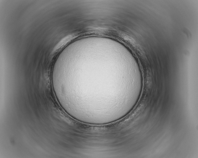 X0000110911354200907091428