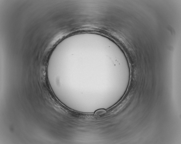 X0000110911355200907091428