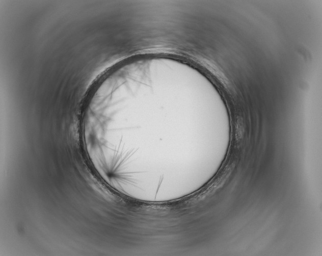 X0000110911356200907091428