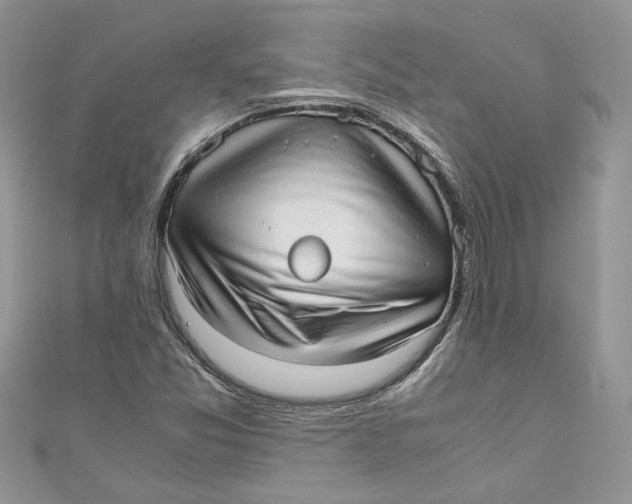 X0000110911357200907091428