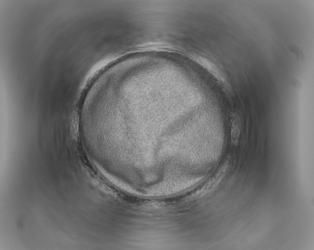 X0000110911358200907091428