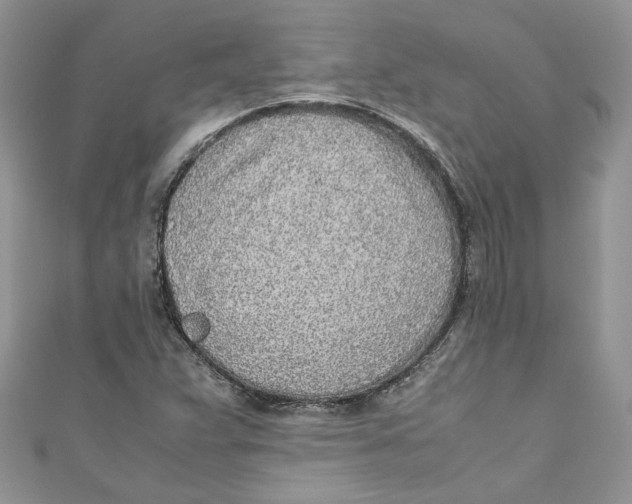 X0000110911359200907091428