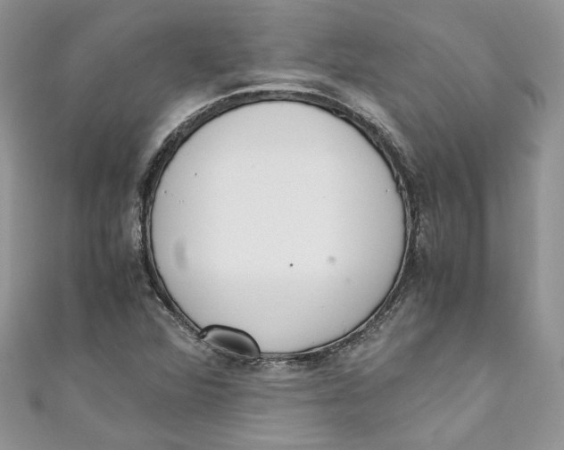 X0000110911360200907091428