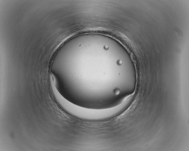 X0000110911361200907091428