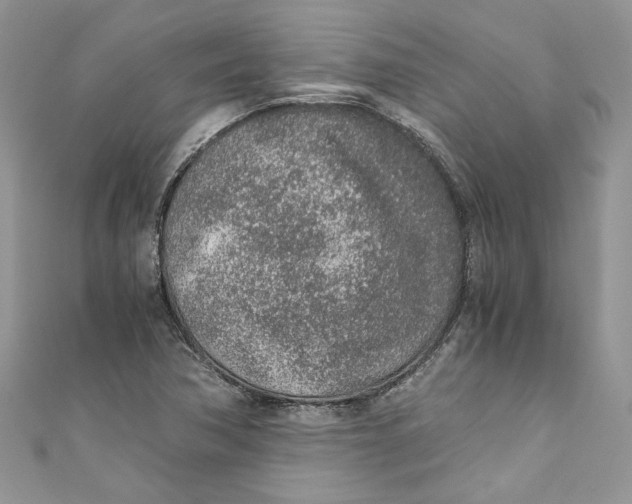 X0000110911362200907091428