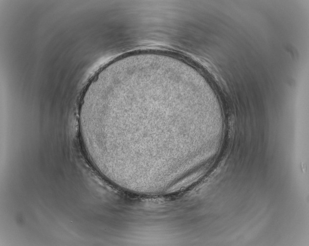 X0000110911363200907091428