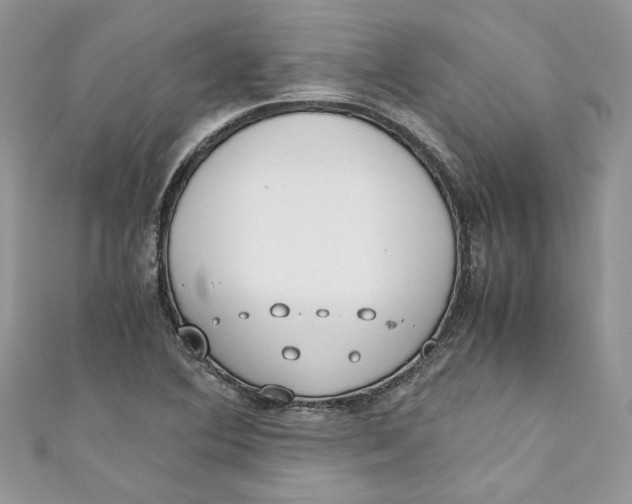 X0000110911364200907091428